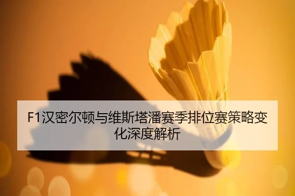 F1汉密尔顿与维斯塔潘赛季排位赛策略变化深度解析
